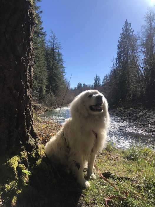 Jax uploaded   1 year/s ago