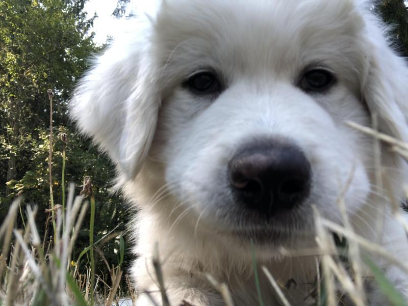 Jax uploaded   1 year/s ago