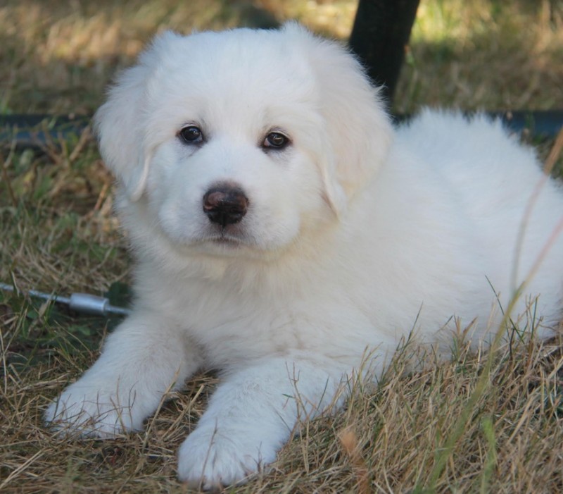 Jax uploaded   3 year/s ago