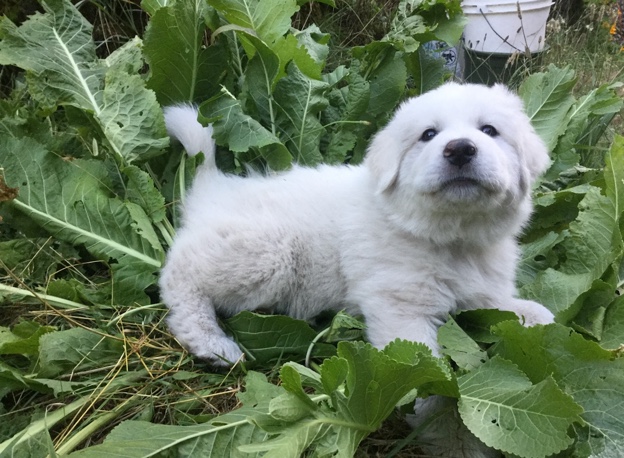 Jax uploaded   3 year/s ago