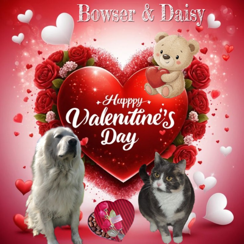 Bowser of the Jax family