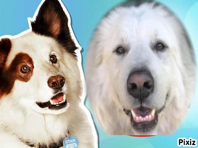 Bowser of the Jax family