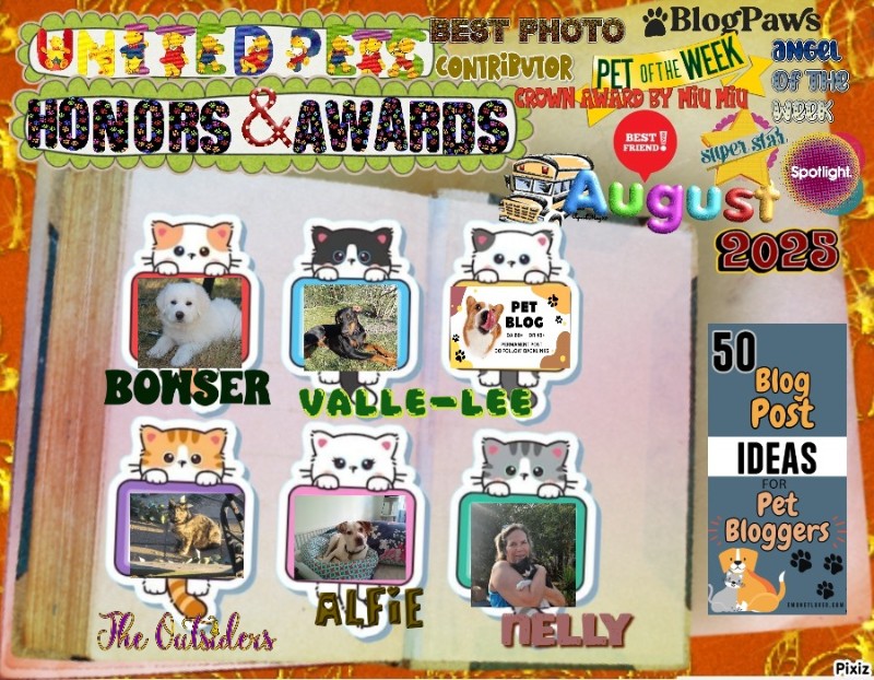 Jax uploaded   237  day/s  ago