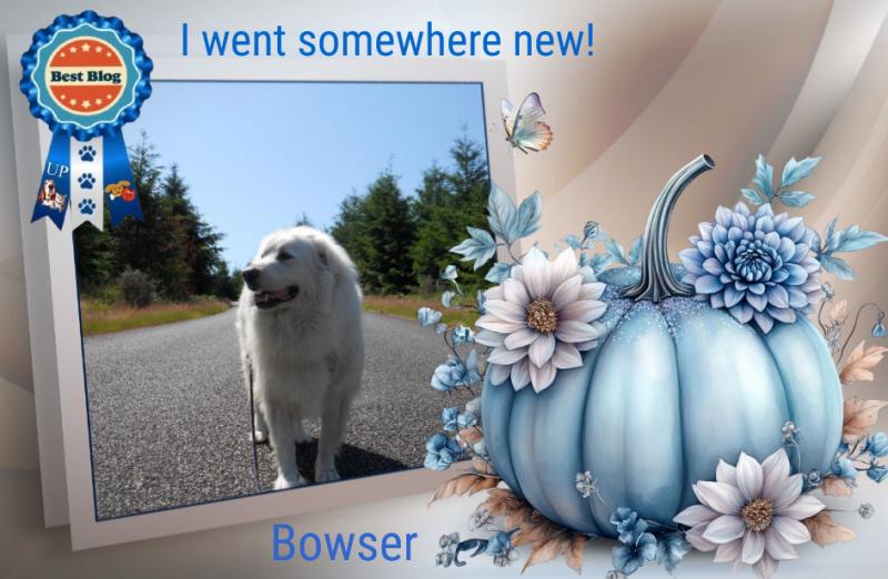 Bowser of the Jax family