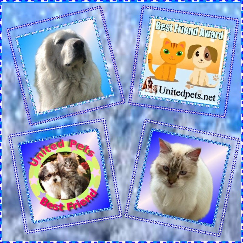 Jax uploaded   6  day/s  ago