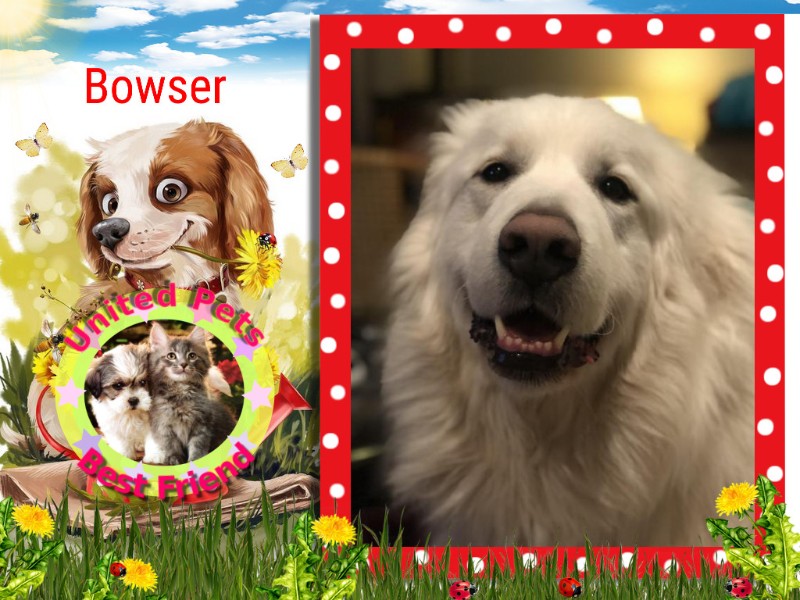 Jax uploaded   10  day/s  ago