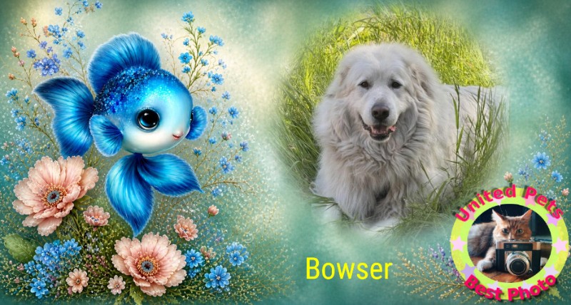 Bowser of the Jax family