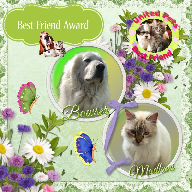 Jax uploaded   10  day/s  ago