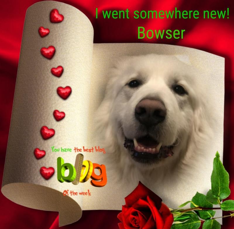 Bowser of the Jax family