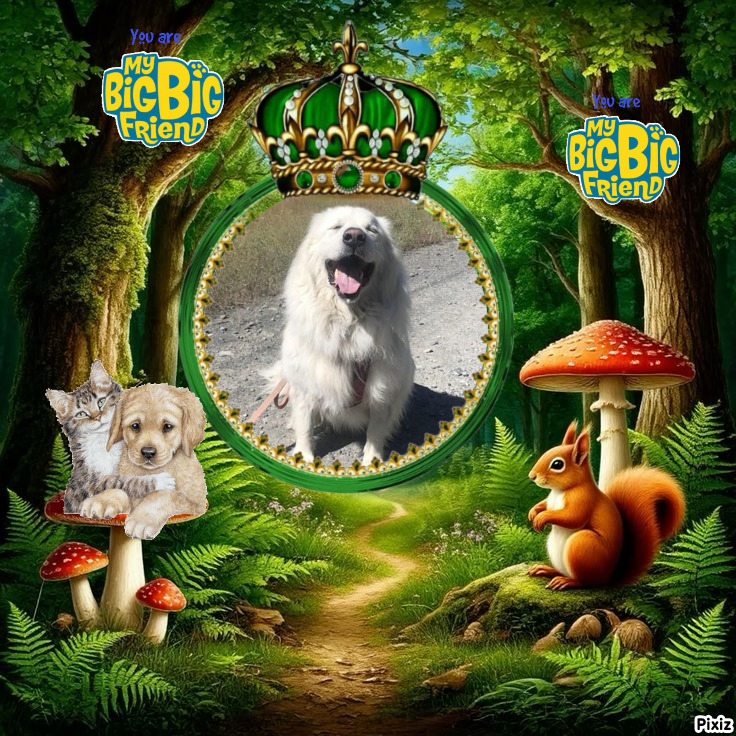 Jax uploaded   10  day/s  ago