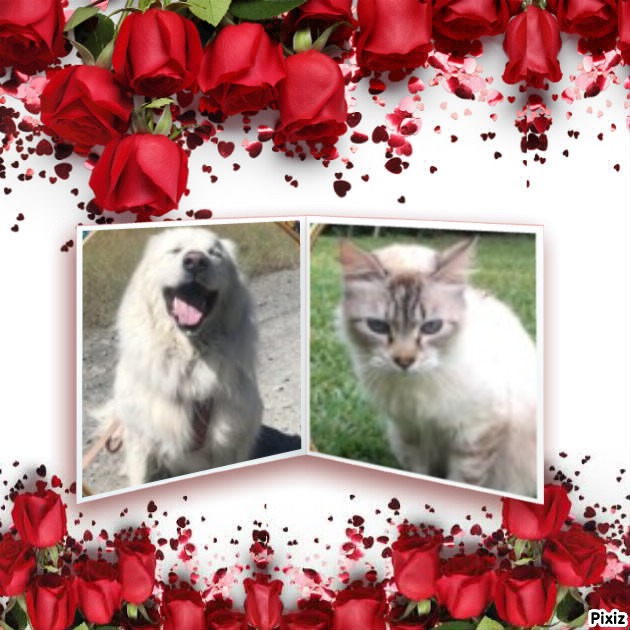 Jax uploaded   10  day/s  ago