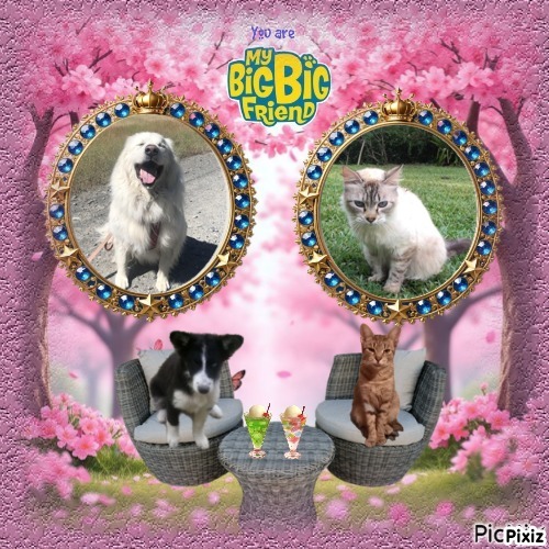 Jax uploaded   10  day/s  ago