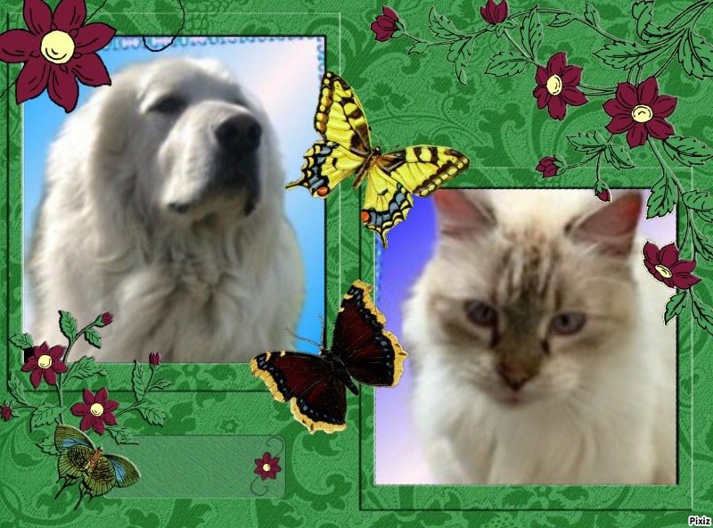 Jax uploaded   6  day/s  ago