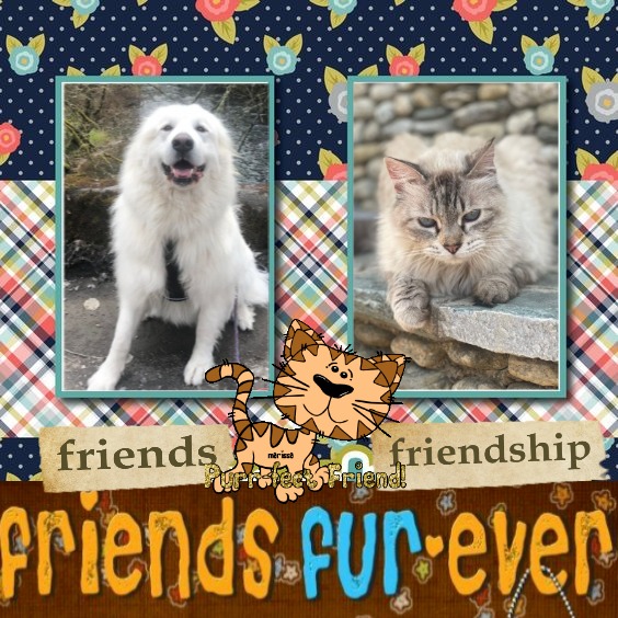 Jax uploaded   10  day/s  ago