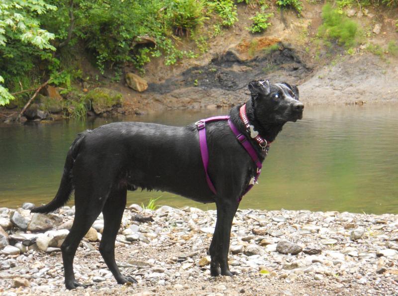 Jax uploaded   1 year/s ago