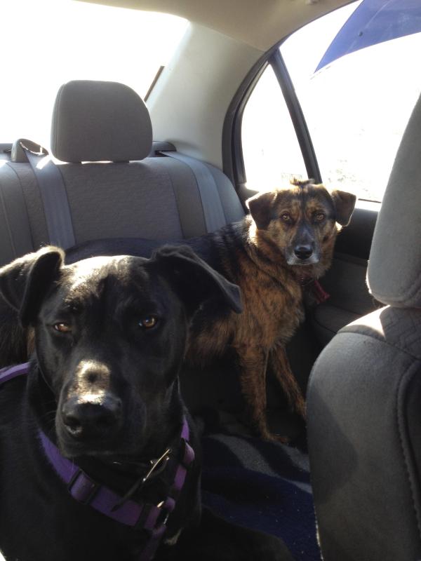 Jax uploaded   141  day/s  ago