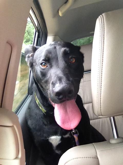 Jax uploaded   284  day/s  ago