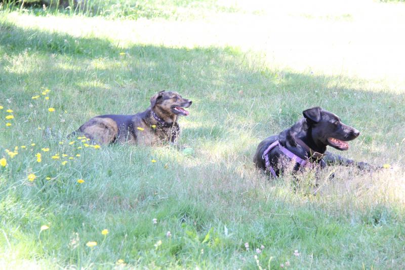 Jax uploaded   267  day/s  ago