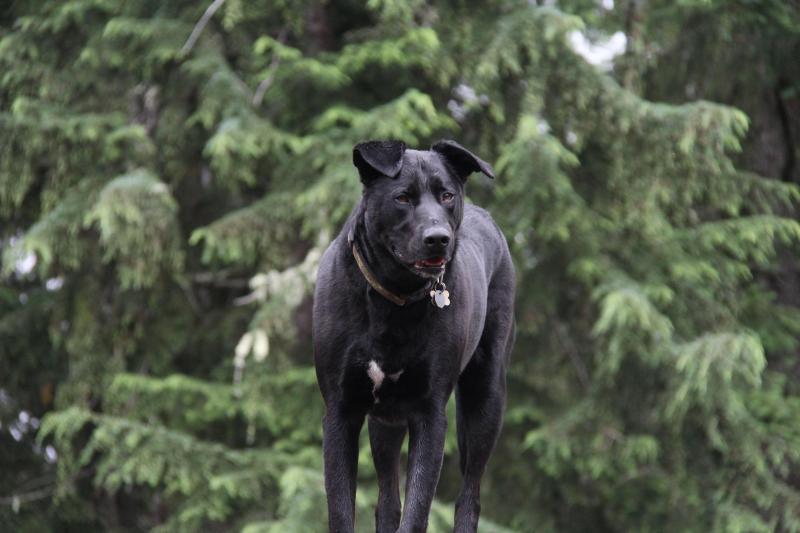 Jax uploaded   267  day/s  ago