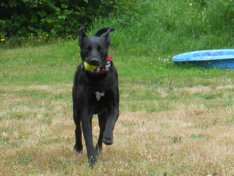 Jax uploaded   92  day/s  ago