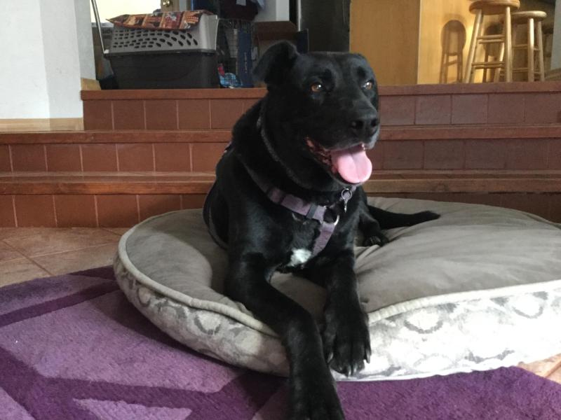 Jax uploaded   77  day/s  ago