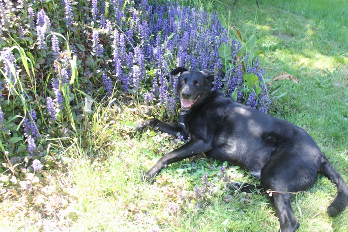 Jax uploaded   3 year/s ago