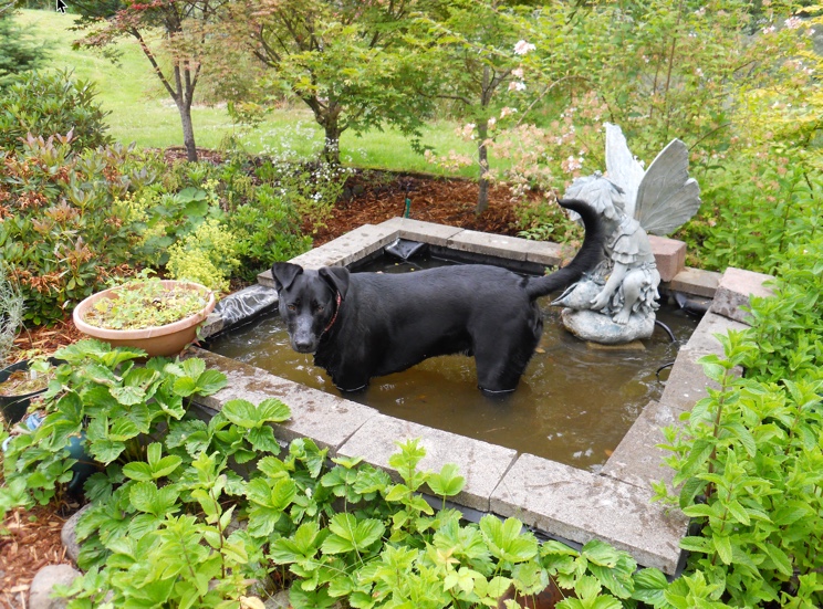 Jax uploaded   3 year/s ago