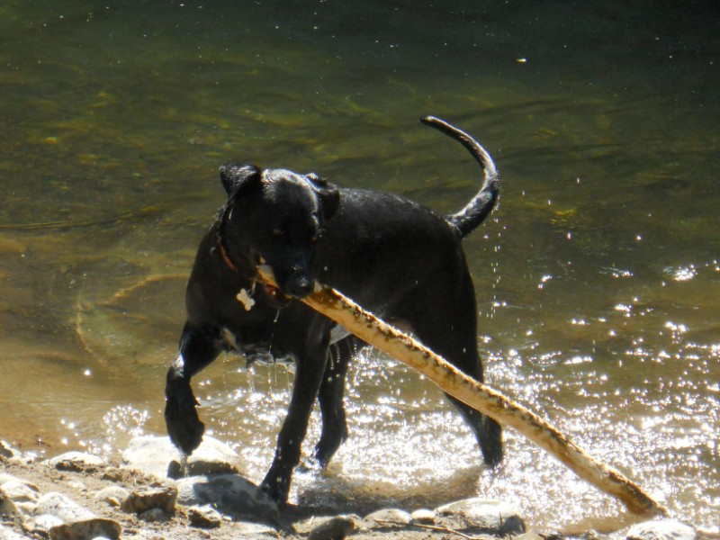 Jax uploaded   1 year/s ago