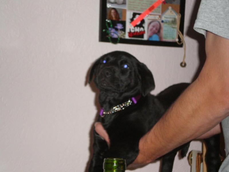 Jax uploaded   71  day/s  ago