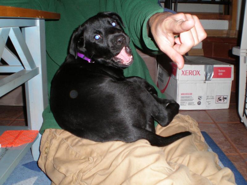 Jax uploaded   70  day/s  ago