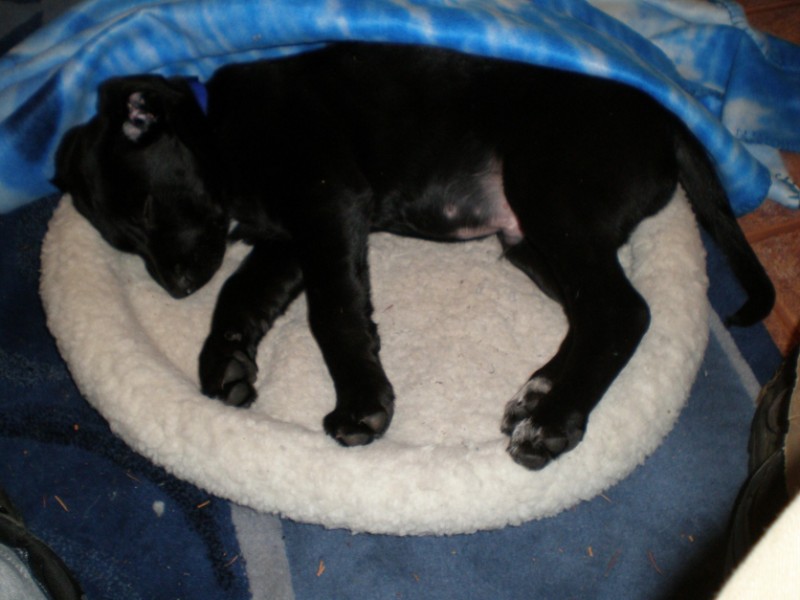 Jax uploaded   5  day/s  ago