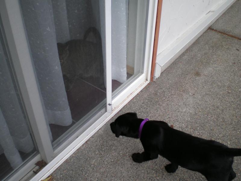 Jax uploaded   4  day/s  ago