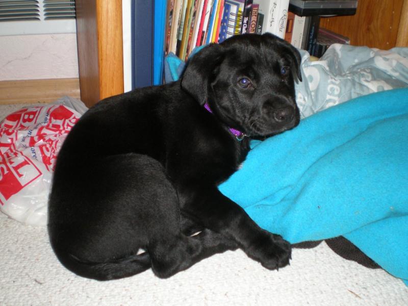 Jax uploaded   71  day/s  ago