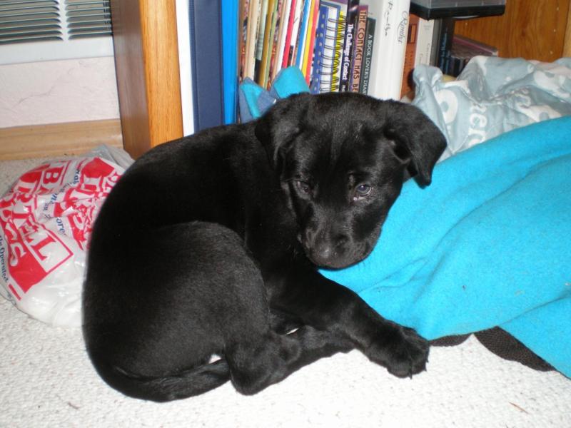 Jax uploaded   71  day/s  ago