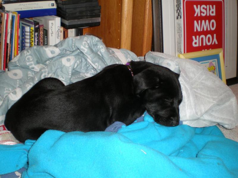 Jax uploaded   71  day/s  ago