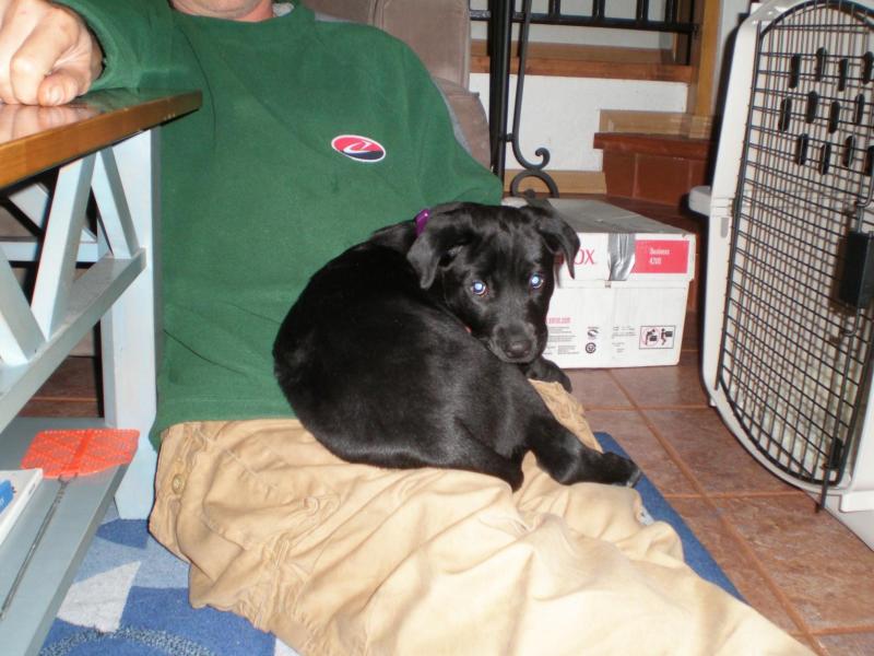 Jax uploaded   70  day/s  ago