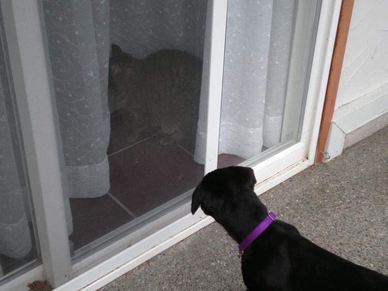 Jax uploaded   4  day/s  ago