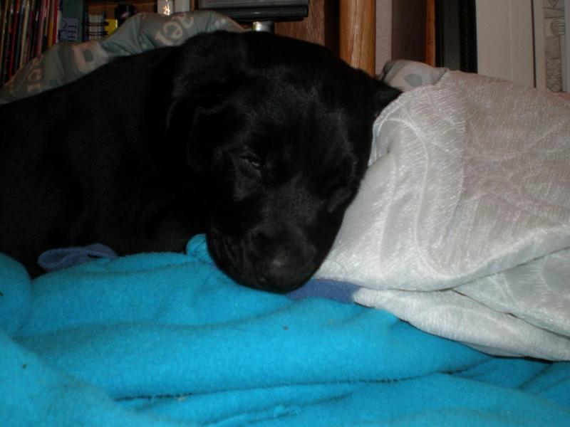 Jax uploaded   71  day/s  ago