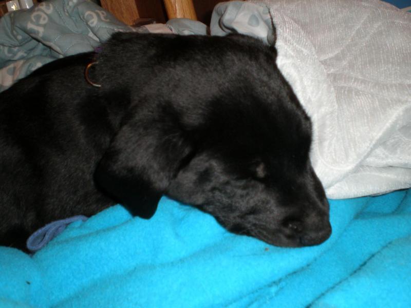 Jax uploaded   71  day/s  ago