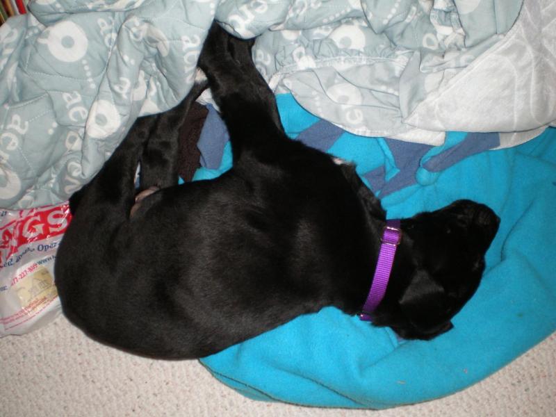 Jax uploaded   71  day/s  ago