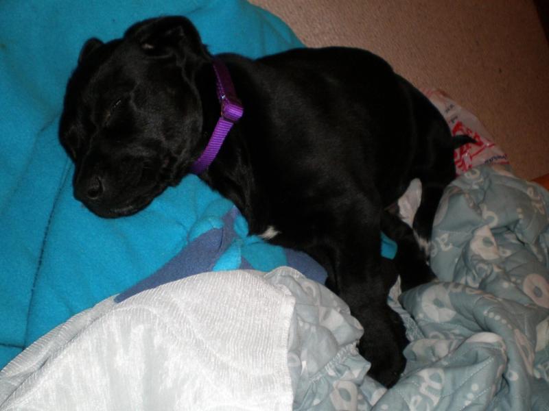 Jax uploaded   71  day/s  ago