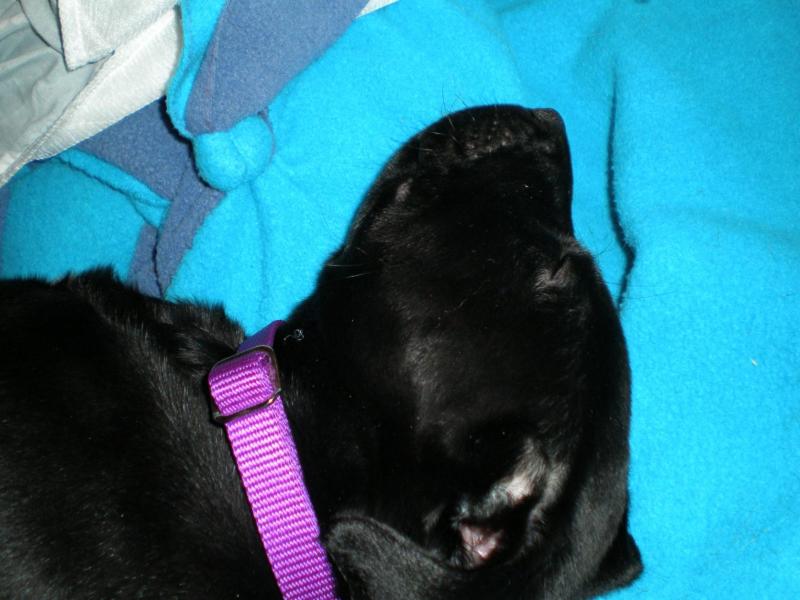 Jax uploaded   71  day/s  ago