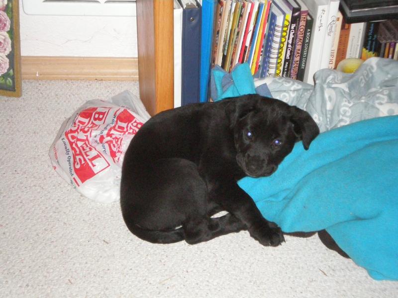 Jax uploaded   71  day/s  ago