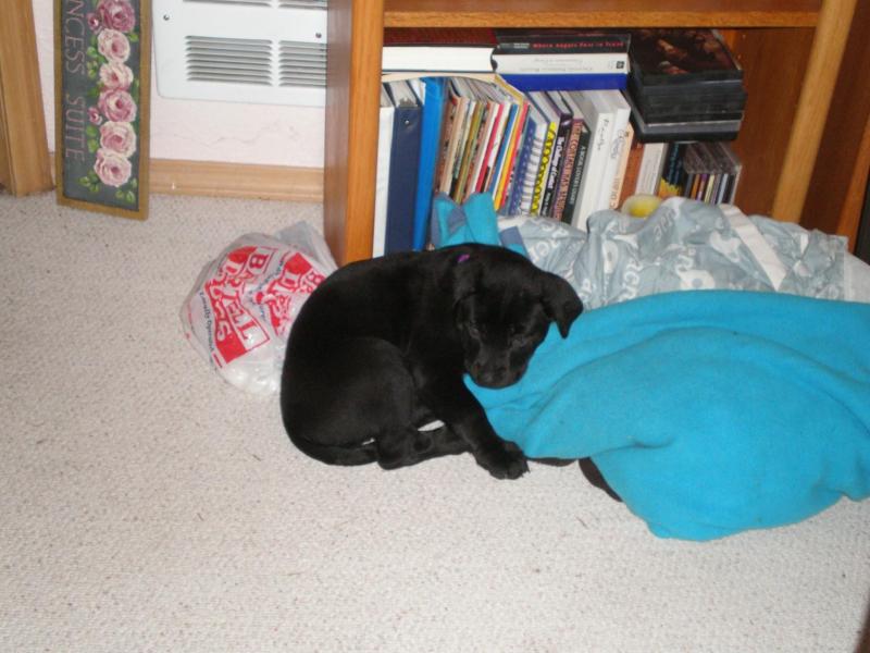 Jax uploaded   71  day/s  ago