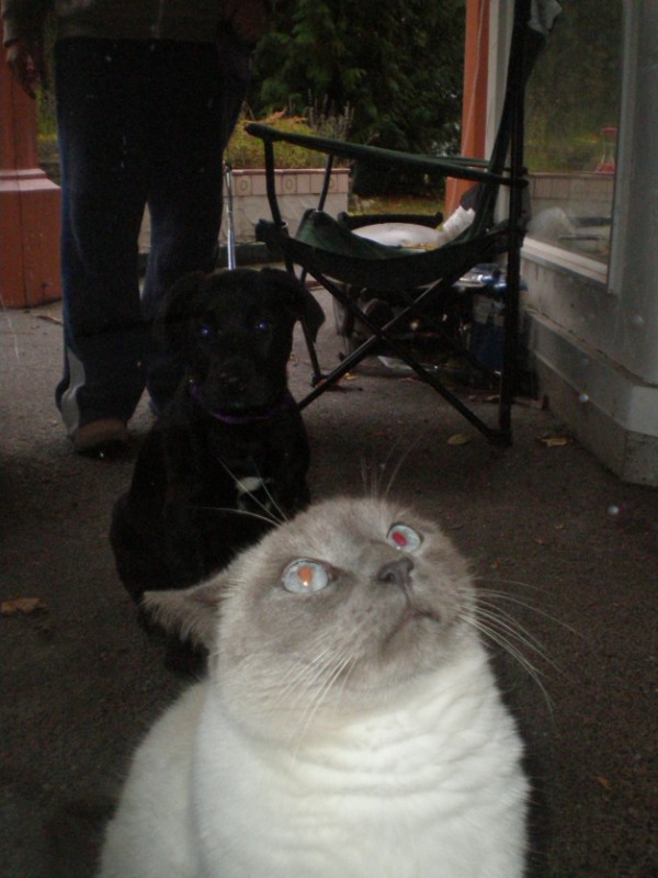 Jax uploaded   5  day/s  ago