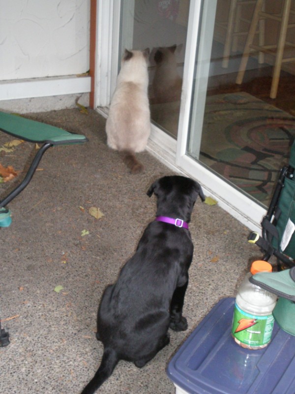 Jax uploaded   5  day/s  ago