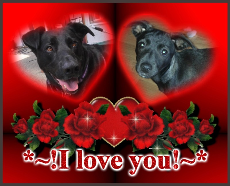 Jax uploaded   87  day/s  ago