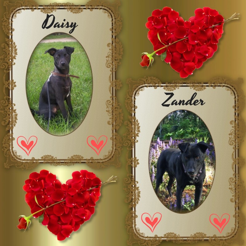 Jax uploaded   76  day/s  ago