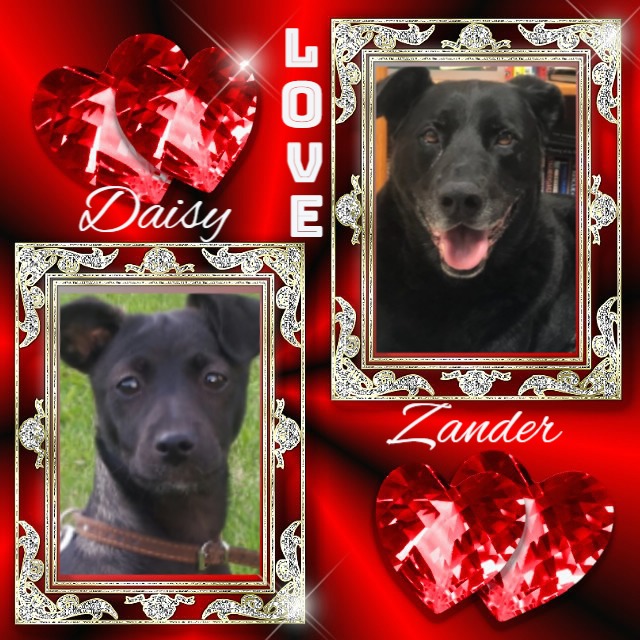 Jax uploaded   87  day/s  ago