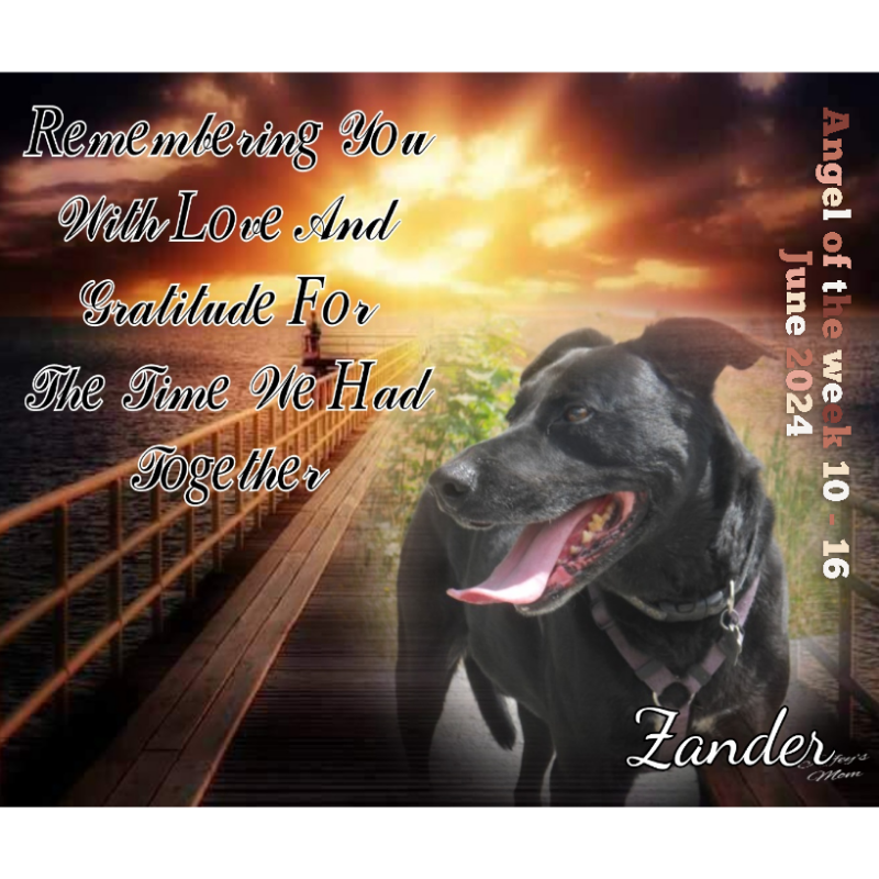 Jax uploaded   2 year/s ago